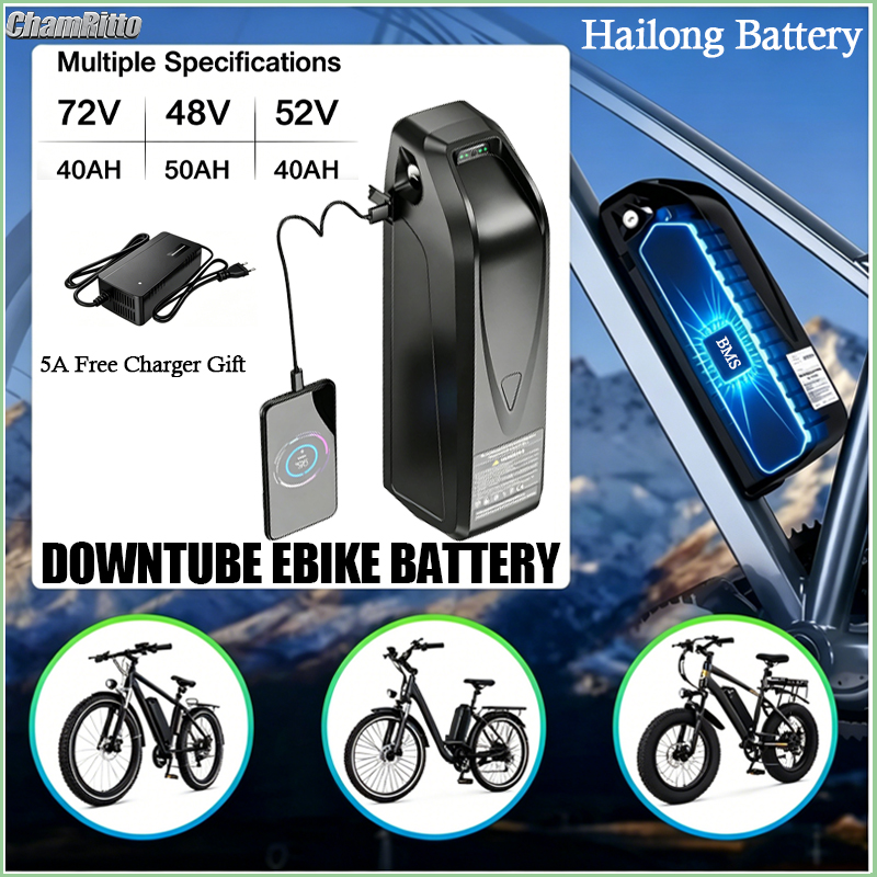 Batteria per Bici Elettrica Ha - Ebike Battery 48V 20Ah Hailong recensione e prezzo